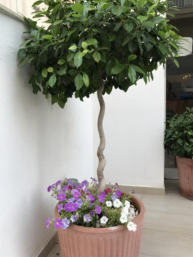 Slimiza Suites Sliema Exterior foto